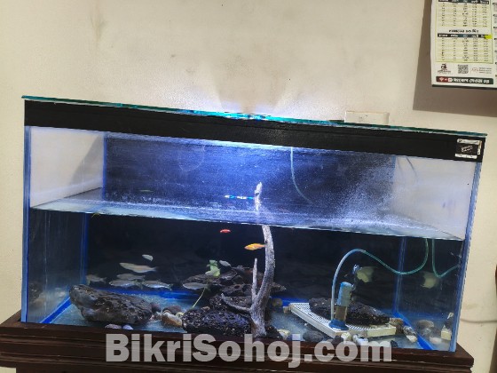 অ্যাকুরিয়ামের